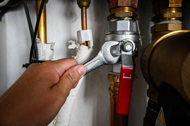 Best Shower Repair Services  in Cheyenne, WY